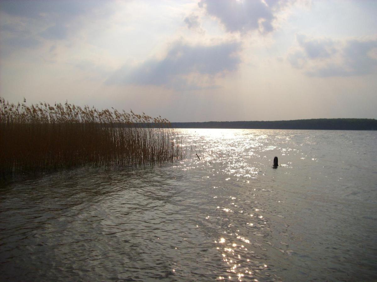 Fewoamglubigsee Wendisch Rietz Luaran gambar